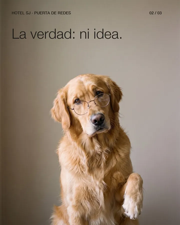 2 de 3: «La verdad: ni idea», el perro encogiéndose de hombros